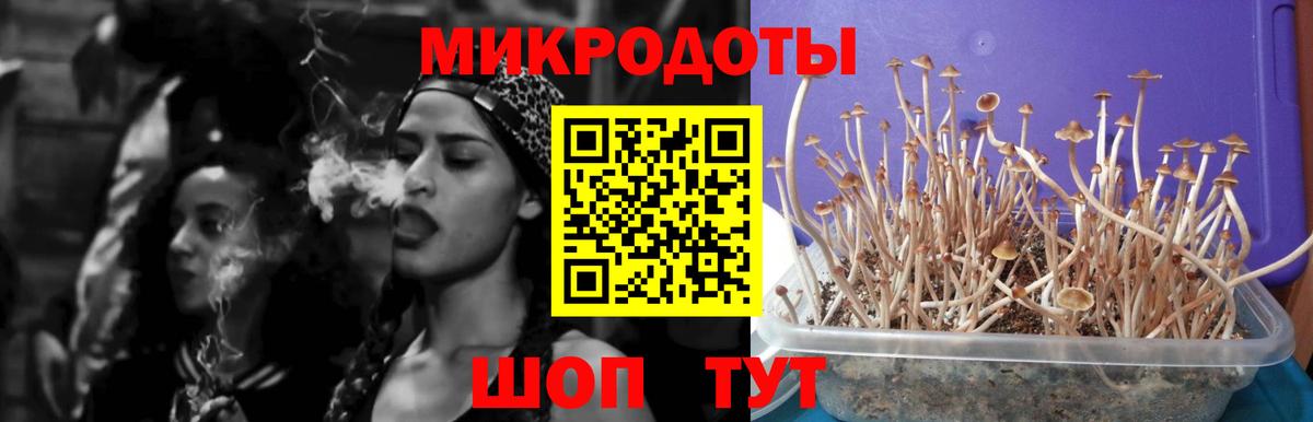 Галлюциногенные грибы GOLDEN TEACHER  Вход с VPN  Чистополь 
