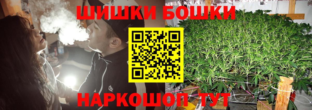 Шишки марихуана план  Вход с VPN  Марихуана Amnesia  Чистополь  Бошки марихуана гибрид 